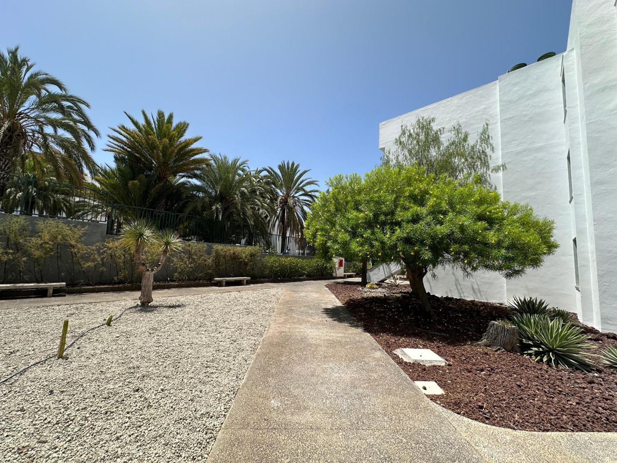 Centro Playa De Americas Apartament Arona (Tenerife)
